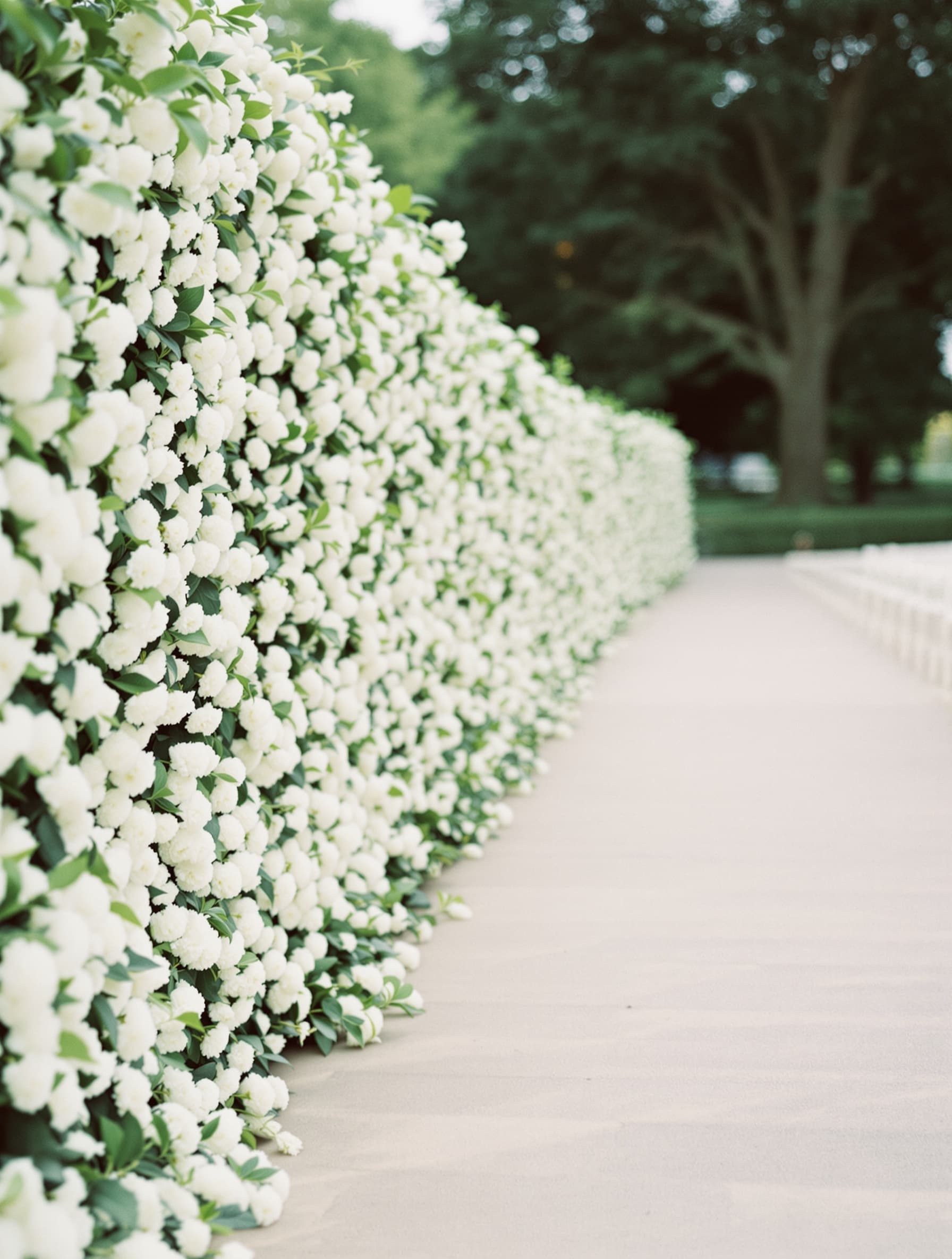 Wedding aisle lined with a continuous white flower hedge before the ceremony